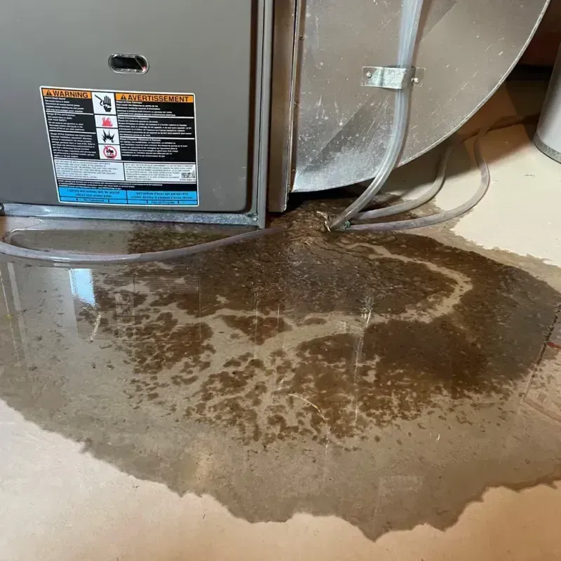 Appliance Leak Cleanup in Atlanta, TX